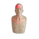Fantom Brayden LED