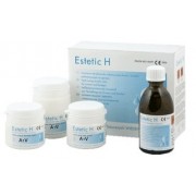 ESTETIC H akryl do licowania 100 g+50 ml płyn WIEDENT