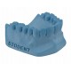 GIPS STODENT III NIEBIESKI 3kg EVERALL7