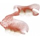 ACRON 24mm S kolor AJ LIGHT PINK opak. 6szt