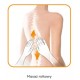 MG315 MATA DO MASAŻU SHIATSU, WIBRACYJNEGO i ROLKOWEGO BEURER