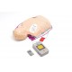 AED Little Anne Training System - Laerdal