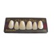 ZĘBY akrylowe przody 6 sztuk CLASSIC PLUS FORMED