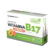 XENIVIT WITAMINA B17 AMIGDALINA 30 kaps. XENICO PHARMA